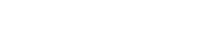 Blue Chip Consulting